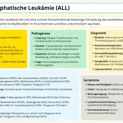Infografik über akute lymphatische Leukämie (ALL), eine aggressive Krebserkrankung. Beschreibt Epidemiologie, Pathogenese, Diagnostik, Therapie und Symptome. Leukämie Stadium 4 ist hier nicht explizit erwähnt, aber die aggressive Natur der Krankheit wi...