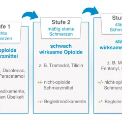Schmerztherapie: Stufe 1 (leichte Schmerzen) mit nicht-opioiden Mitteln, Stufe 2 (mäßig starke) mit schwach wirksamen Opioiden, Stufe 3 (starke) mit stark wirksamen Opioiden. Dies ist ein wichtiger Aspekt der Onkologie.