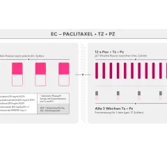 Schema zur Behandlung mit EC, Paclitaxel, Trastuzumab und Pertuzumab. Zeigt neoadjuvante und adjuvante Therapiephasen.