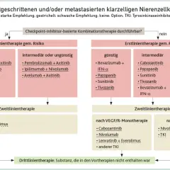 Flussdiagramm zur Therapie des Nierenzellkarzinoms, das Behandlungsoptionen basierend auf dem Risiko und der Vortherapie gemäß der nierenzellkarzinom leitlinie darstellt.