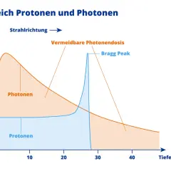 Vergleich von Protonen- und Photonen-Strahlendosis. Die Grafik zeigt, wie lange es dauert, bis Bestrahlung wirkt, und veranschaulicht die Tiefenwirkung.