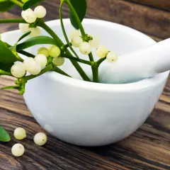 Mistelzweig mit weißen Beeren in Mörser. Informationen zu Misteltherapie Kosten.