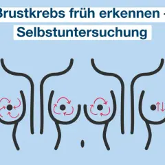 Brustkrebs früh erkennen durch Selbstuntersuchung. Illustration zeigt drei Brüste mit roten Pfeilen, die verschiedene Abtasttechniken darstellen.