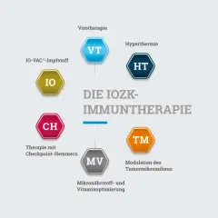 Schema der IOZK-Immuntherapie: Virotherapie (VT), Hyperthermie (HT), IO-VAC®-Impfstoff (IO), Therapie mit Checkpoint-Hemmern (CH), Mikronährstoff- und Vitaminoptimierung (MV), Modulation des Tumormikromilieus (TM). Eine Option nach der Chemotherapie.