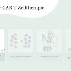 CAR-T-Zelltherapie voraussetzungen: Entnahme, Isolation, Versand ins Labor und genetische Veränderung von T-Zellen.