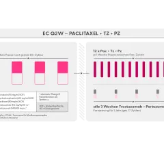 Schema für adjuvante Therapie bei Brustkrebs: 4x EC, dann 12x Paclitaxel mit Trastuzumab/Pertuzumab.