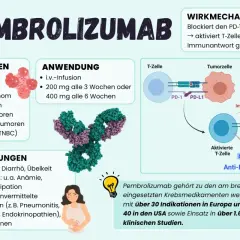 Pembrolizumab: Indikationen, Anwendung, Nebenwirkungen & Wirkmechanismus. Informationen zur Pembrolizumab Lebenserwartung sind Teil der klinischen Studien.