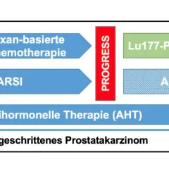 Schema zeigt Behandlungsoptionen bei fortgeschrittenem Prostatakarzinom, einschließlich Taxan-basierter Chemotherapie, ARSI und Lu177-PSMA-RLT.