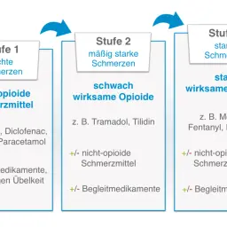 Schmerztherapie: Stufe 1 (leichte Schmerzen) mit nicht-opioiden Mitteln, Stufe 2 (mäßig starke) mit schwach wirksamen Opioiden, Stufe 3 (starke) mit stark wirksamen Opioiden. Dies ist ein wichtiger Aspekt der Onkologie.