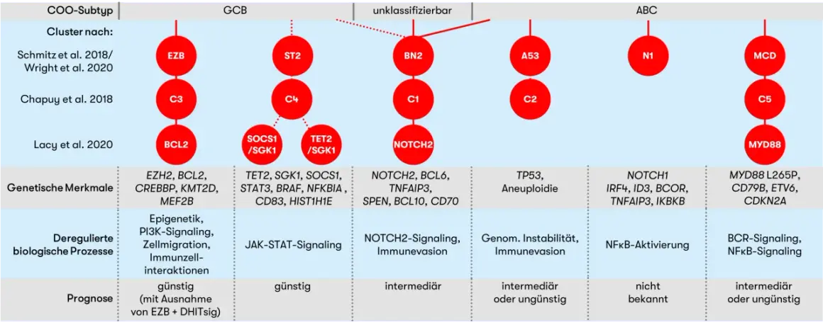 Schema zur Klassifizierung von DLBCL-Subtypen mit genetischen Merkmalen, biologischen Prozessen und Prognose.