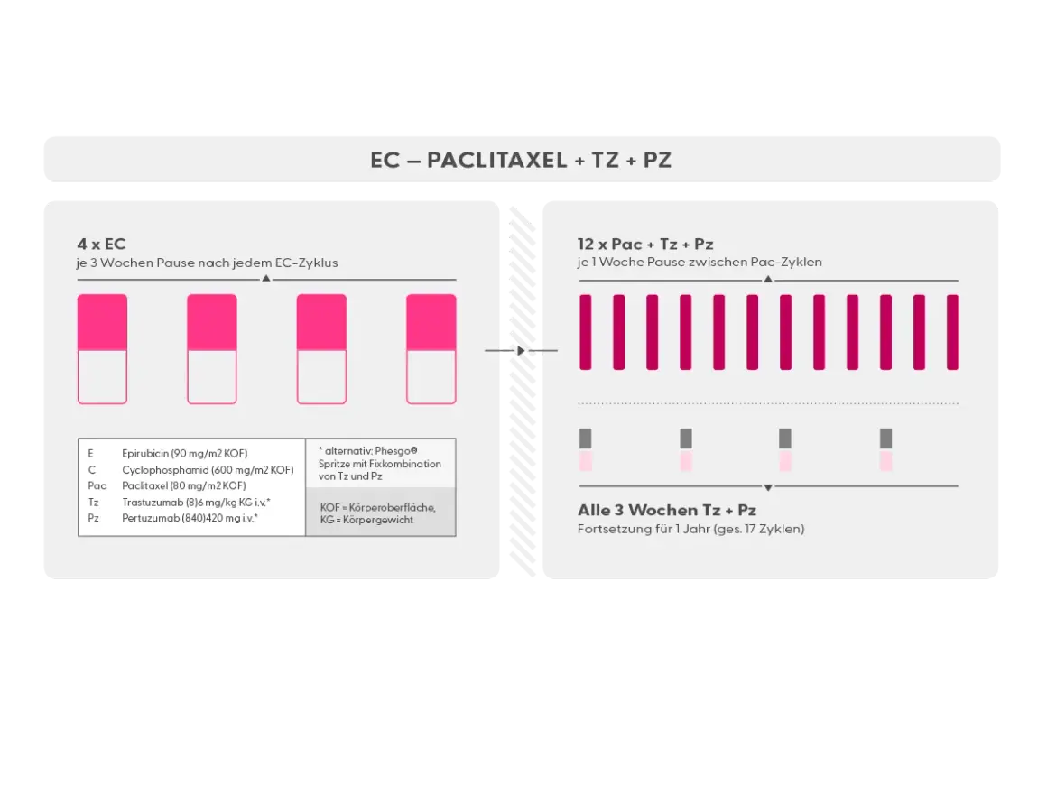 Schema zur Behandlung mit EC, Paclitaxel, Trastuzumab und Pertuzumab. Zeigt neoadjuvante und adjuvante Therapiephasen.