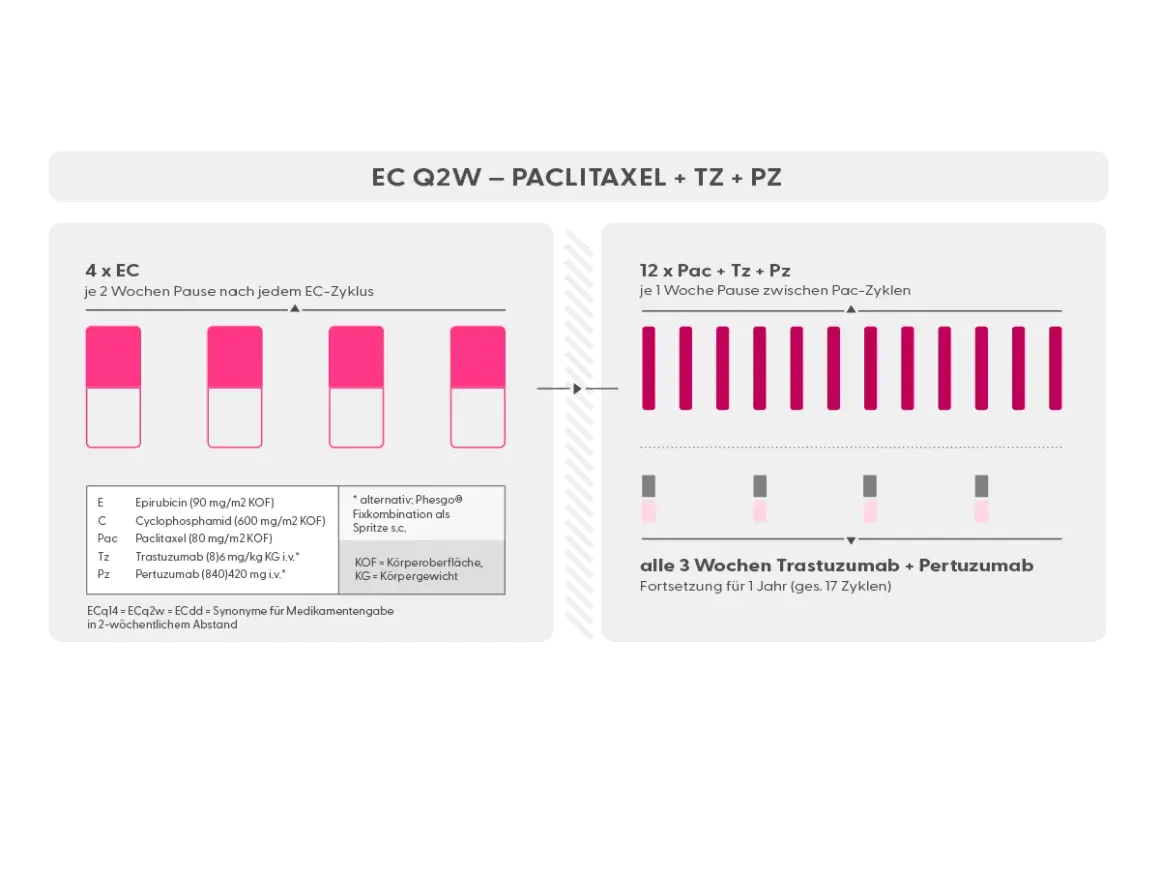 Schema für adjuvante Therapie bei Brustkrebs: 4x EC, dann 12x Paclitaxel mit Trastuzumab/Pertuzumab.