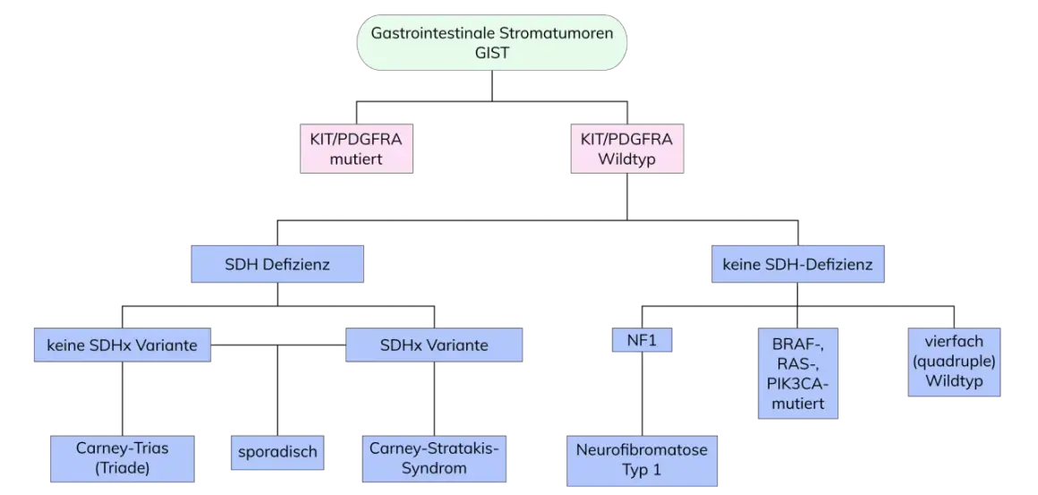 Flussdiagramm zur Klassifizierung von GIST-Tumoren basierend auf Genmutationen und SDH-Defizienz.