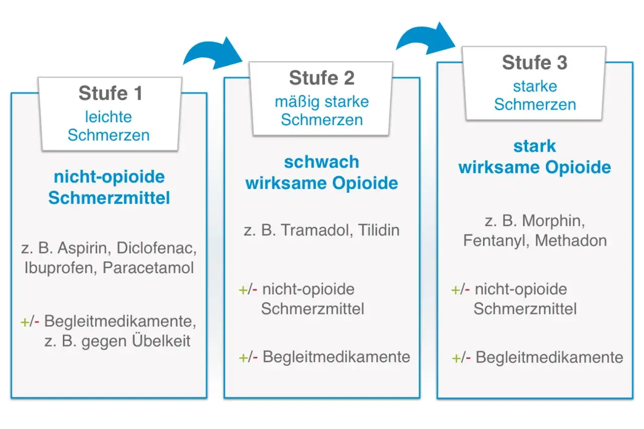 Onkologie - Diagnose, Therapie & Alltagshilfen bei Krebs