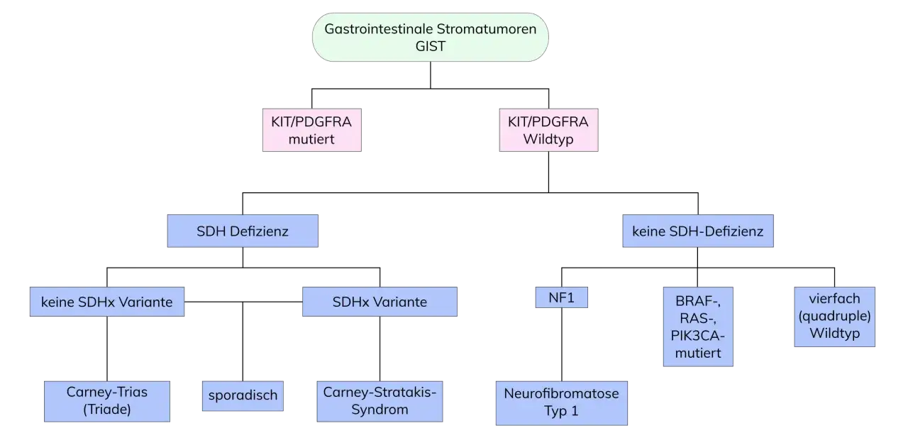 GIST - Was wirklich zählt bei Diagnose und Therapie?