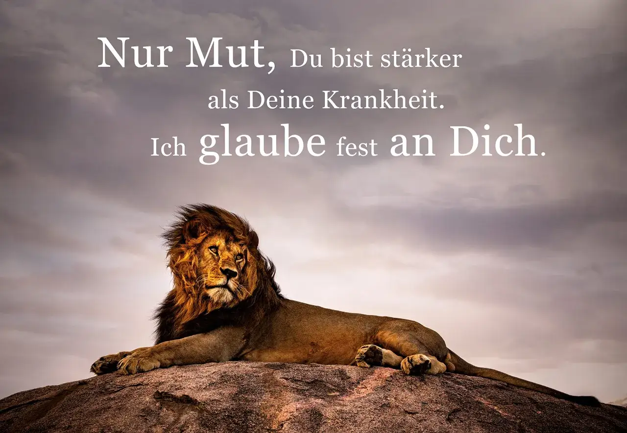 Ein Löwe ruht auf einem Felsen, während die Worte 