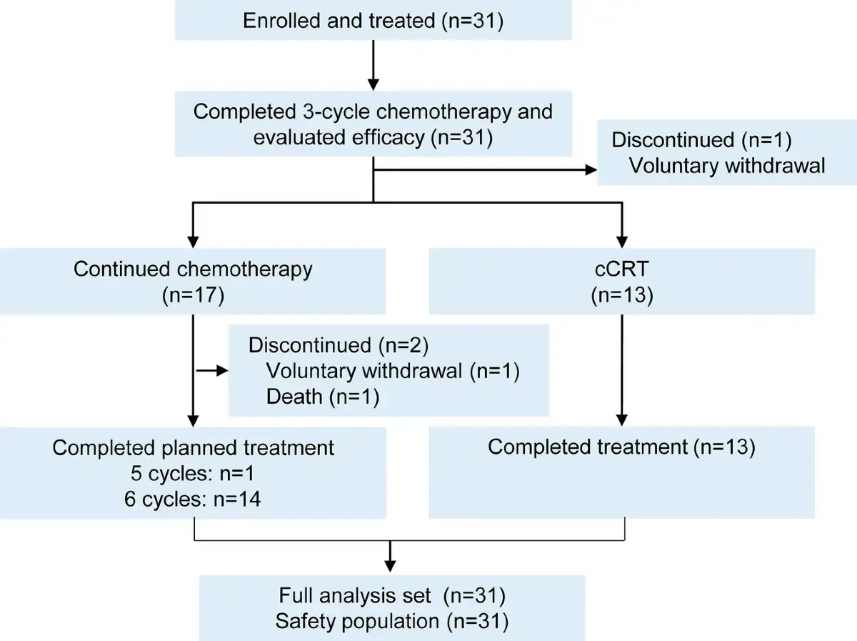 Flussdiagramm zeigt den Verlauf der Chemotherapie-Dauer: 31 Patienten eingeschrieben, 17 setzten fort, 13 erhielten cCRT, 13 schlossen Behandlung ab.