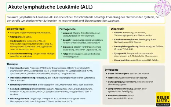 Leukämie Stadium 4 - Was es wirklich bedeutet & Prognose